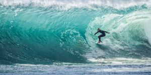 Read more about the article Praesent libro se cursus ante