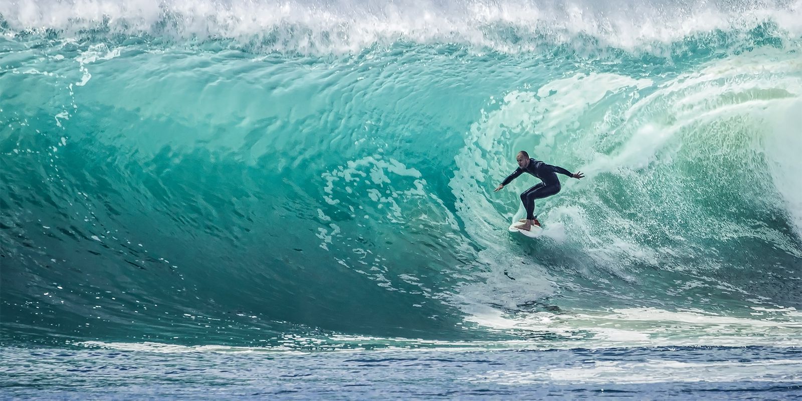 Read more about the article Praesent libro se cursus ante