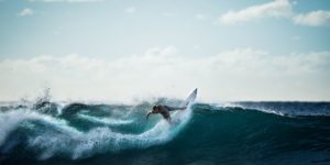 Read more about the article Velusce suscipit quis luctus