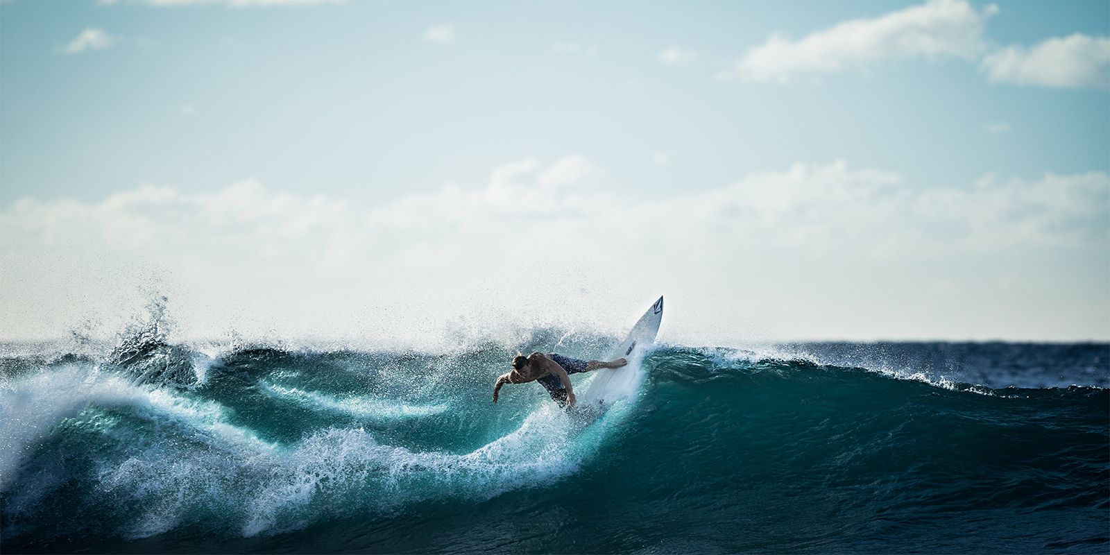 Read more about the article Velusce suscipit quis luctus